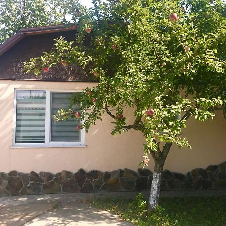 Apartments With Kitchen And Garden Київ Екстер'єр фото