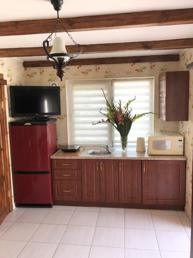 Apartments With Kitchen And Garden Київ Екстер'єр фото